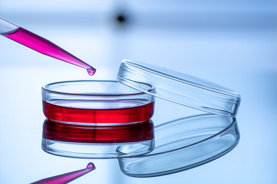 Petri dish and a pipette on a blue background in a scientific genetic laboratory